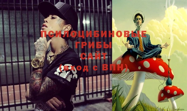 спайс Новозыбков