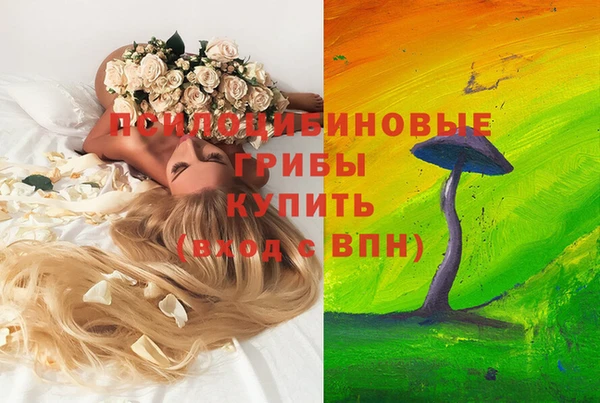 спайс Новозыбков