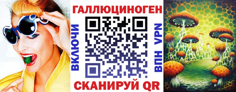 MEGA как войти Старая Русса Псилоцибиновые грибы мицелий