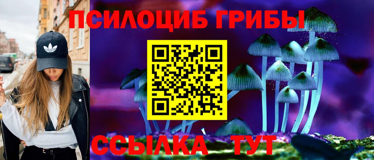Галлюциногенные грибы Psilocybe  Вход с VPN  Старая Русса  наркошоп  Галлюциногенные грибы Psilocybe 